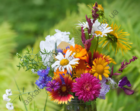 Bright colorful bouquet of garden and wild natural flowers, selective focus