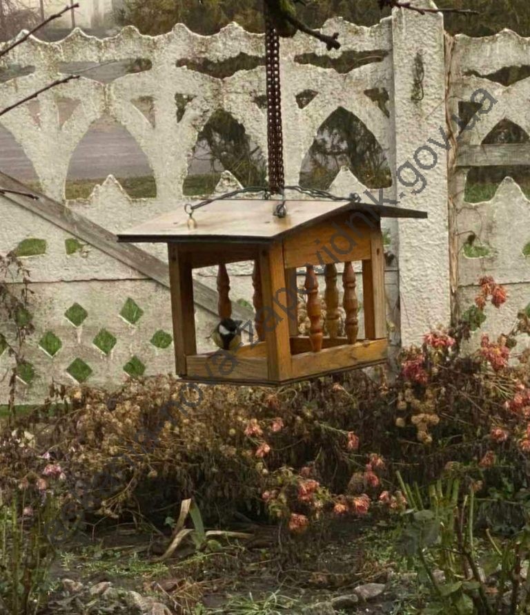 IMG-97141fd9f3bb27fada718e443adfaba0-V