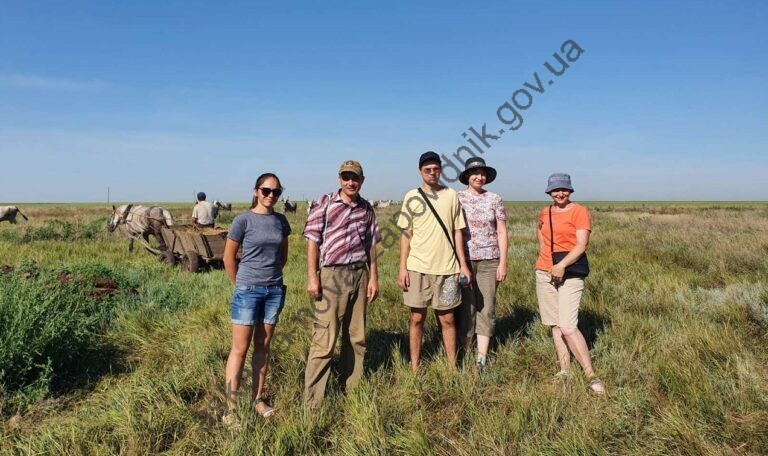 IMG-bfe19ae2b01eb0e6db9d01aa34e31c66-V