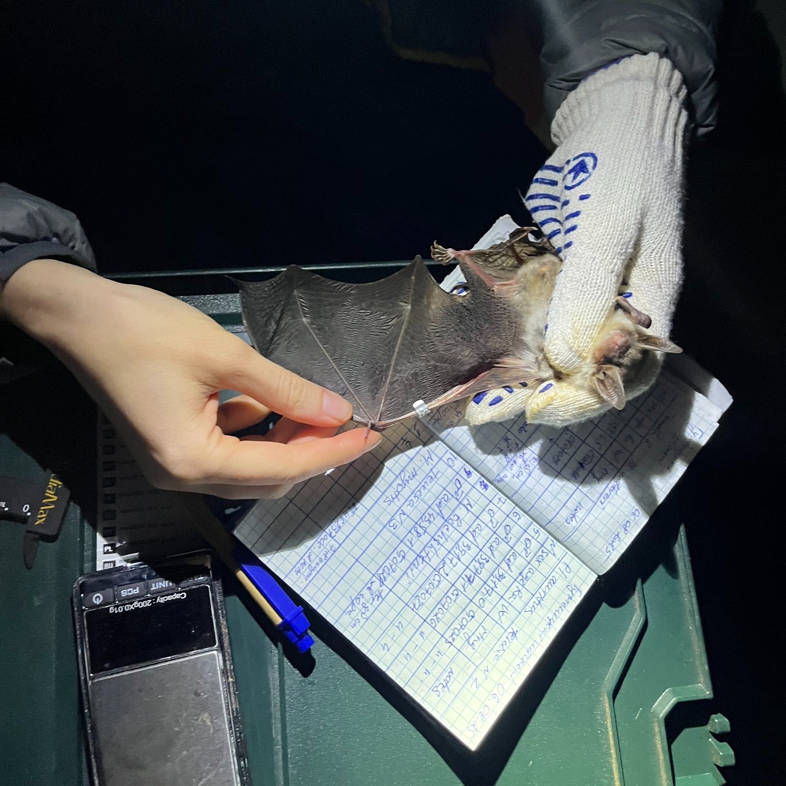 Асканійські науковці в НПП “Подільські Товтри”