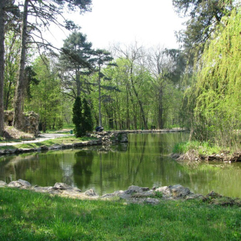 Дендропарк (Фото В.С. Гавриленко)